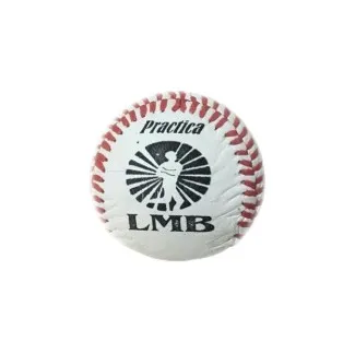 Pelota Estrella Entrenamiento Piel